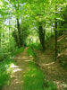Canal Inférieur